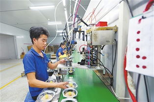 有為，有位——定南縣電子信息首位產業發展見聞